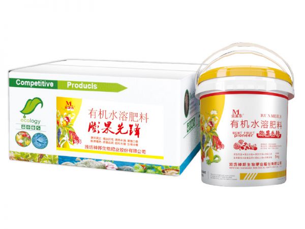 膨果先鋒